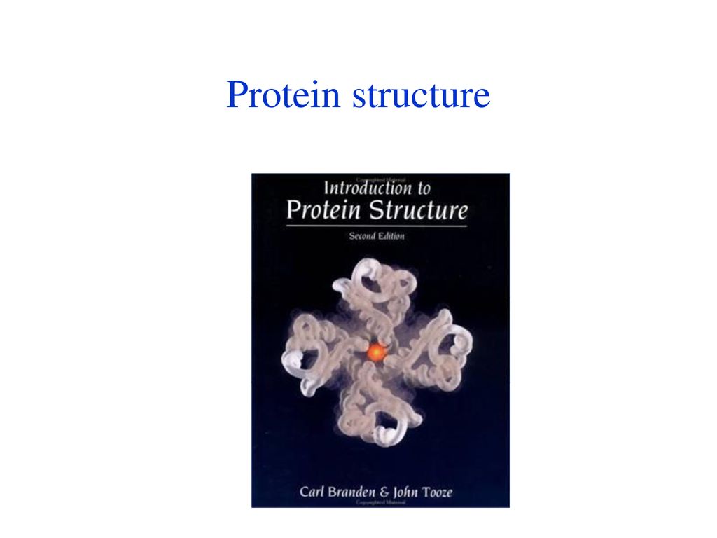 Lecture 14 Secondary Structure Prediction - ppt download